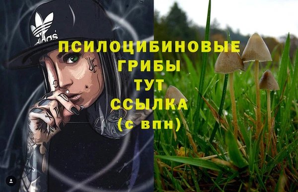 винт Красноперекопск