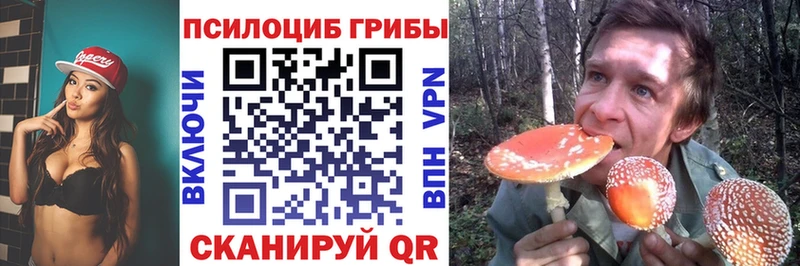 Купить закладки Оханск Галлюциногенные грибы Psilocybe